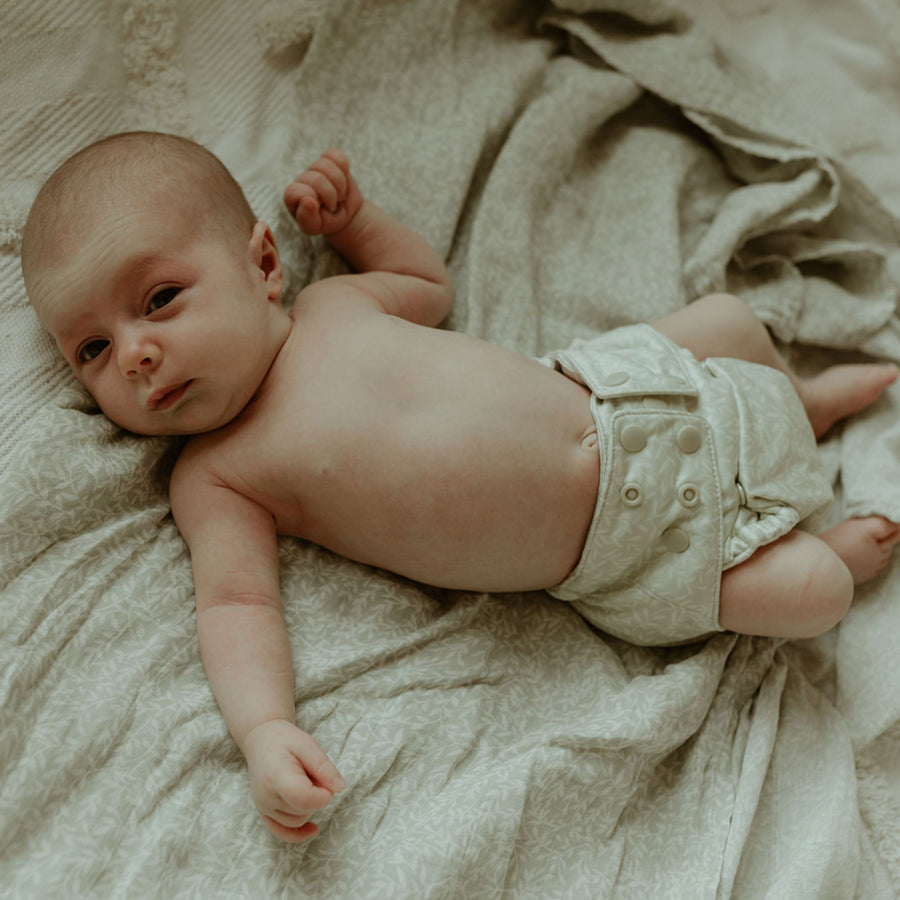 Herbal 2.0 Modern Cloth Diaper